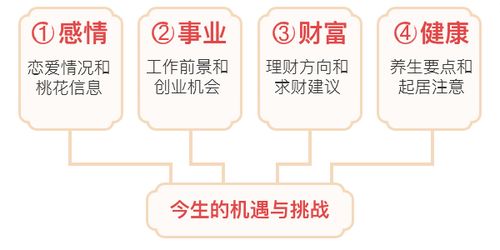 十神分布与大运流年交叉影响