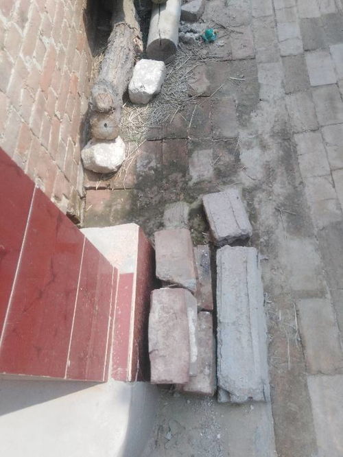 （一）尺寸的适度性