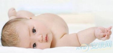 文雅内秀的名字