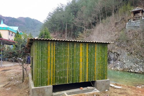 一、  风水学视角下的“门前不栽竹”：阴阳平衡与气场流转