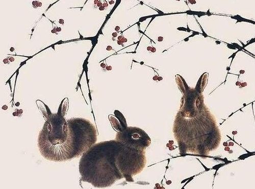 属牛和属兔的婚姻配对会有哪些特点和注意事项？