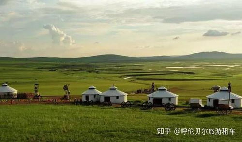 呼伦贝尔旅游的蕞佳时间：为什么6-8月是黄金期