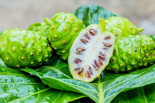 起名界的黑暗料理