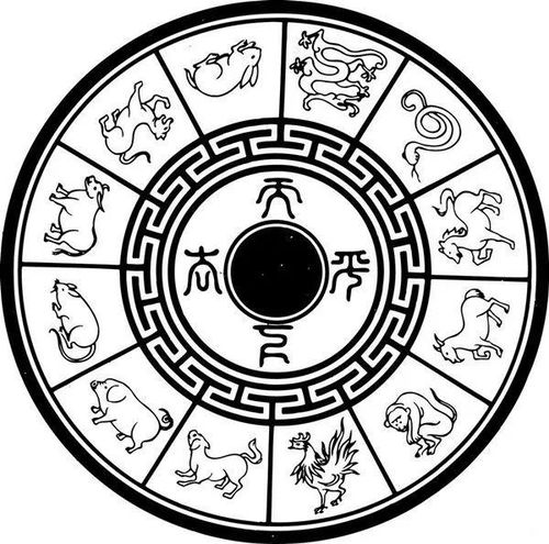 ：雷击木的文化意蕴与生肖禁忌的缘起