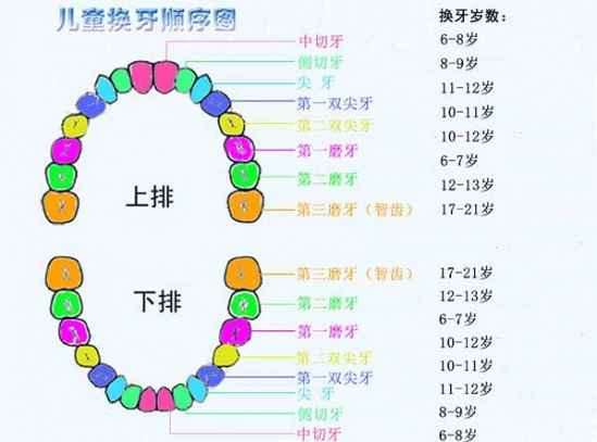 (B) 年龄阶段性命格概述