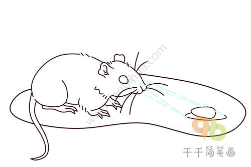 日居夜出比喻的生肖是鼠，那么为可依是：日居夜出的生肖是哪一位？