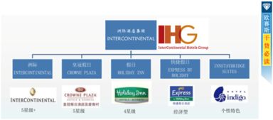 三、 命名原则的理论框架及其文化底蕴解读