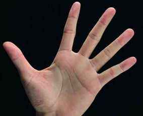 手相风水这些真的可信吗？