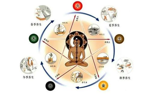 二、 五行对应人体部位之基本映射