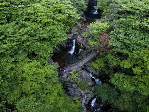 出发前的准备：别让细节毁了你的假期