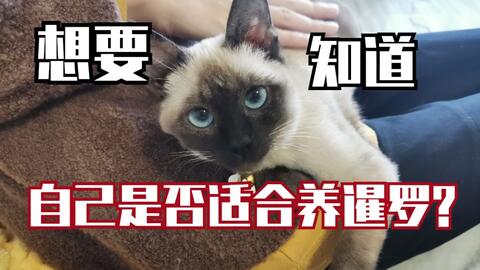 一、 灵龟秘法概述及其历史渊源