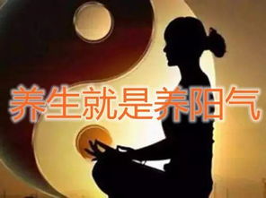 ：阳气在国学养生体系中的核心地位及其现代病理学意义