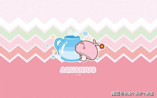 哪些星座越被忽视越想追求？