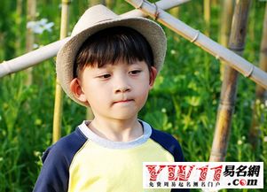 葛立这个名字怎么样，适合给男孩取吗？