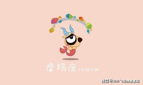 第四名：摩羯座与水瓶座