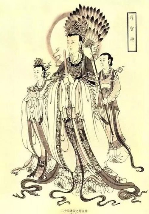 早年登科是哪个生肖？登科的生肖代表什么含义？