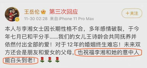 噪音来了：我的猫叫咪咪