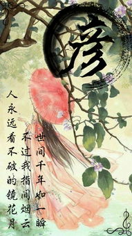 古风姓氏：那些带着千年气息的名字