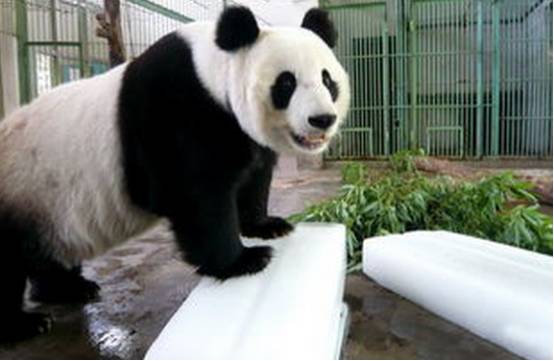 门票价格惊掉下巴