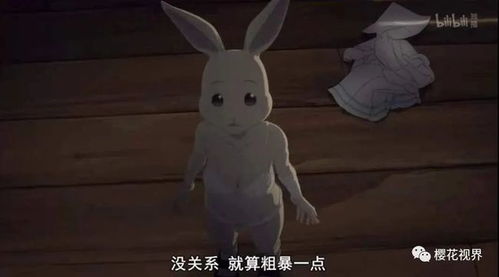 第二章：母炎热爱的庇护——风水中的“聚气”与守护