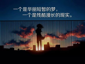 知乎神回复背后的文化根源