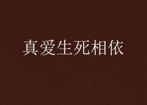 一、 前言：毒药隐喻的现象学解读