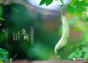 3．摸南瓜／摸扁豆（摸北）
