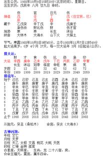 庚申年甲午日乙酉月女命八字格局如何具体分析？