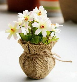 四、 颜色搭配与五行相生相克关系