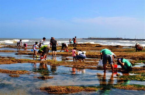带娃首选：瓦晒湾赶海，比游乐场好玩10倍