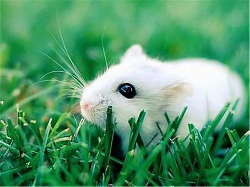 #3 用古文或成语制造格调（但别太严肃）