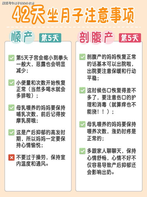 2.2 营养补充：均衡膳食与充足水分