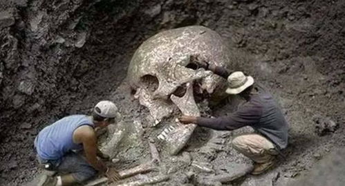 老祖宗留下的惊天预言！《周公解梦》竟然这样说...