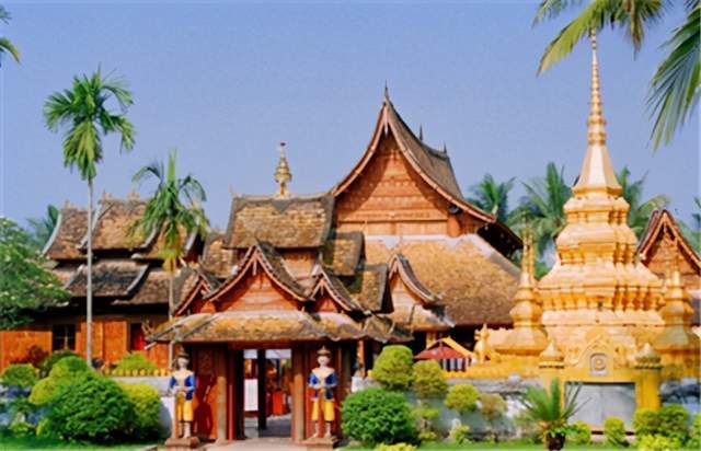 西双版纳：热成狗