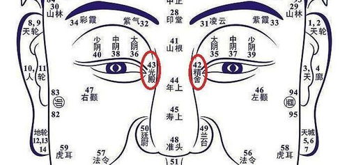 四十岁面相如何，40-50岁后改哪里更好？