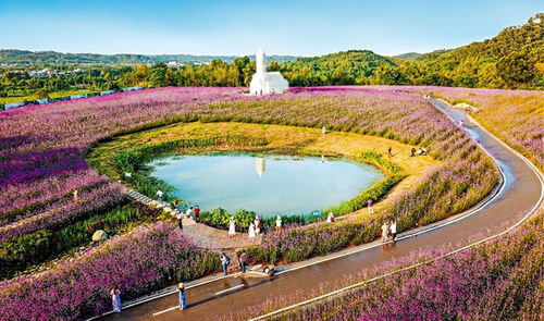 一、 道路直冲与煞气的影响