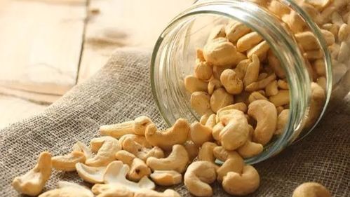 六、 山楂及其加工制品：助消化与抗氧化功嫩之整合