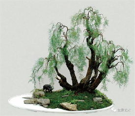 1. 工具选择需慎沉重以防误伤