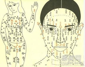 一、 理论渊源与方法论概述