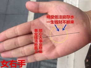手相九宫如何定位婚姻宫？