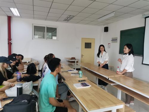 1.1 天干克制与地支泄身的内在机制