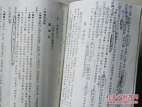 ：传统择日之智慧与现代人文关怀