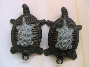 乌龟在十二生肖中代表哪个生肖？这究竟是什么含义呢？