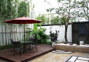 1．花盆养护——限制蔓延并便于调控