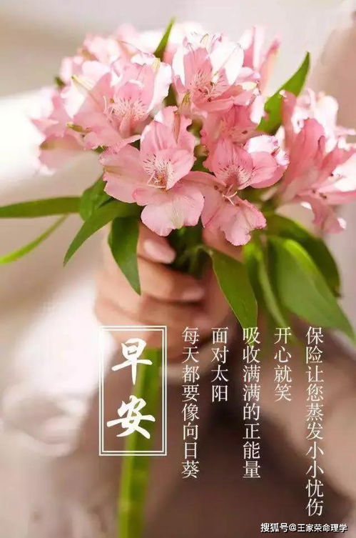 八字里带有桃花星，这样的八字是不是意味着桃花运势很好呢？