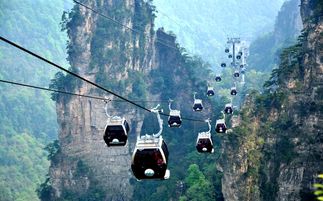 一进景区就迷路？别怕！这里的导游队伍那是相当……复杂！