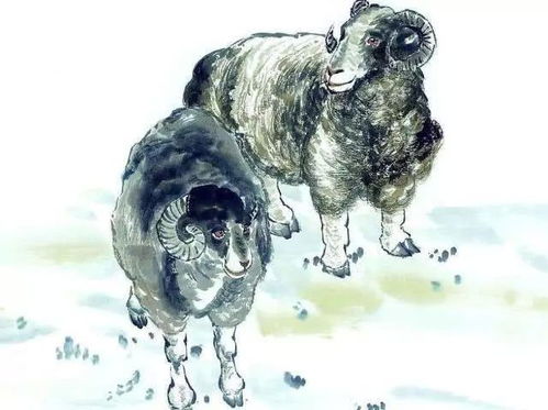 2026年属羊的财运运势具体表现是怎样的？