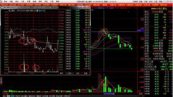 神秘案例：买涨真的能赚翻？