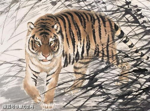 凶毒四方来是哪个生肖？男儿有志四方走的生肖是哪位？