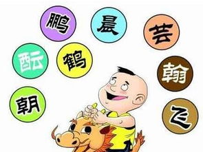 借用他人之名：可行吗？风险呢？